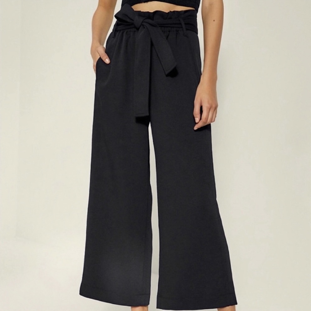 Aritzia Wide Leg Tie Waist Pants in Black